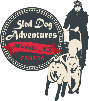 chien-aventure-logo.png